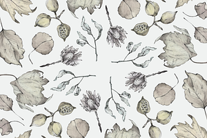 Australian Foliage