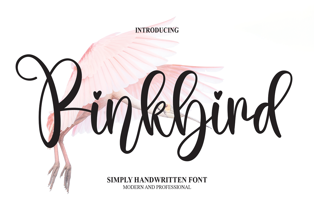 Pinkbird | Script Font, a Script Font by Scratchones (Photo 1 of 8)