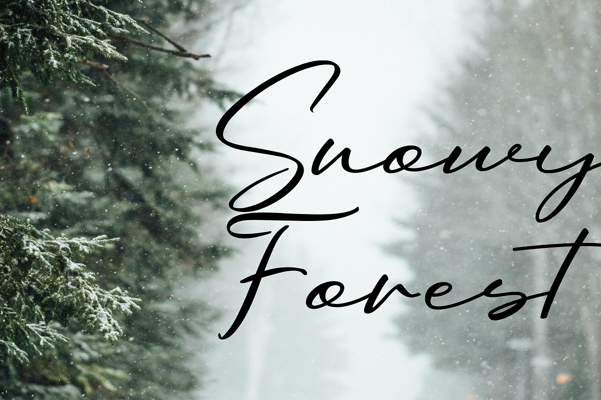 Oriflame Script Fonts, a Script Font by 50Fox (Photo 9 of 10)