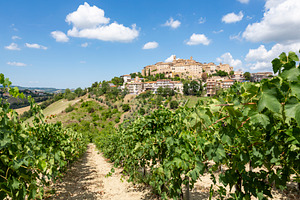 Vineyards italian village cossignano stock photo containing italy and marche