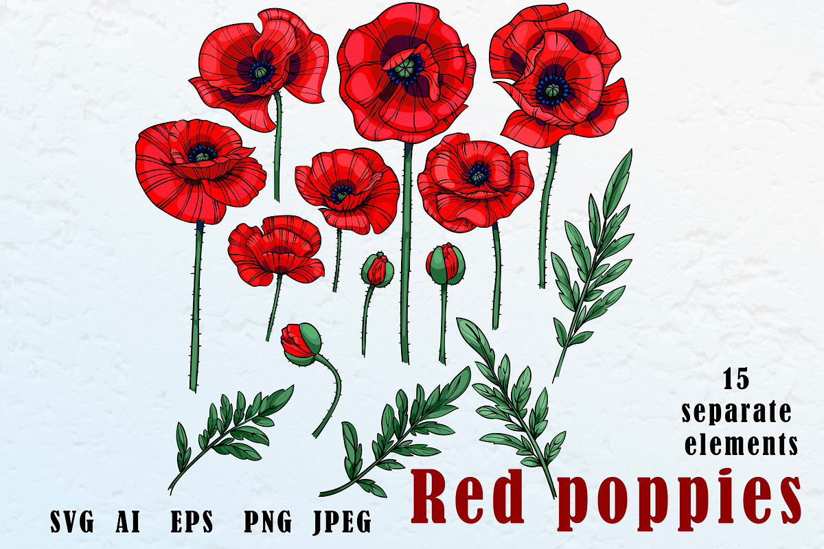 Red poppies, a Decorative Illustration by EshaStudio (Photo 1 of 2)