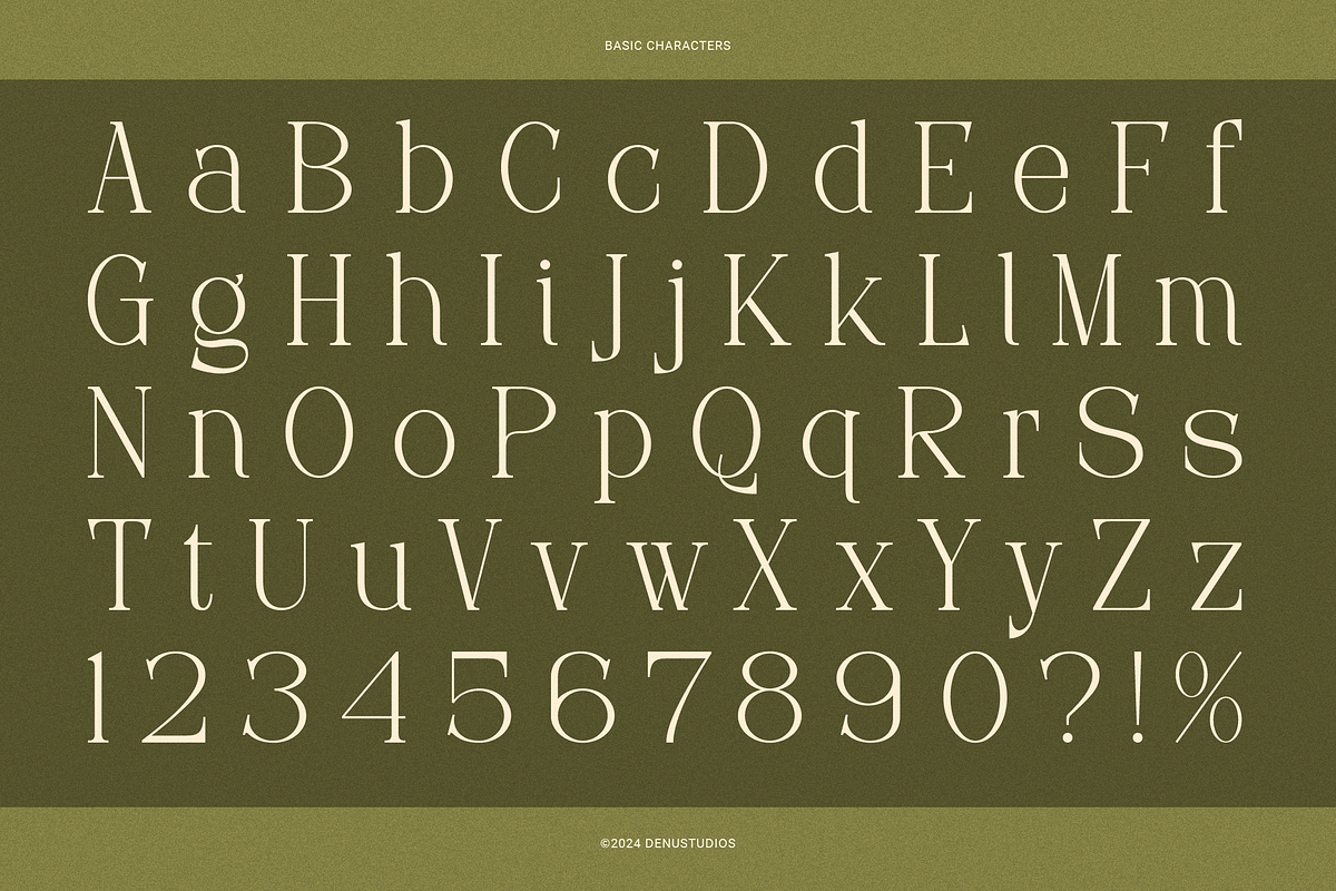 Frieren La Belle | Modern Serif, a Serif Font by Denustudios (Photo 11 of 13)