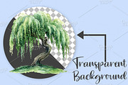 Watercolor Spring Tree Clipart PNG, an Illustration by Canvas Craft (Thumbnail 2 of 7)