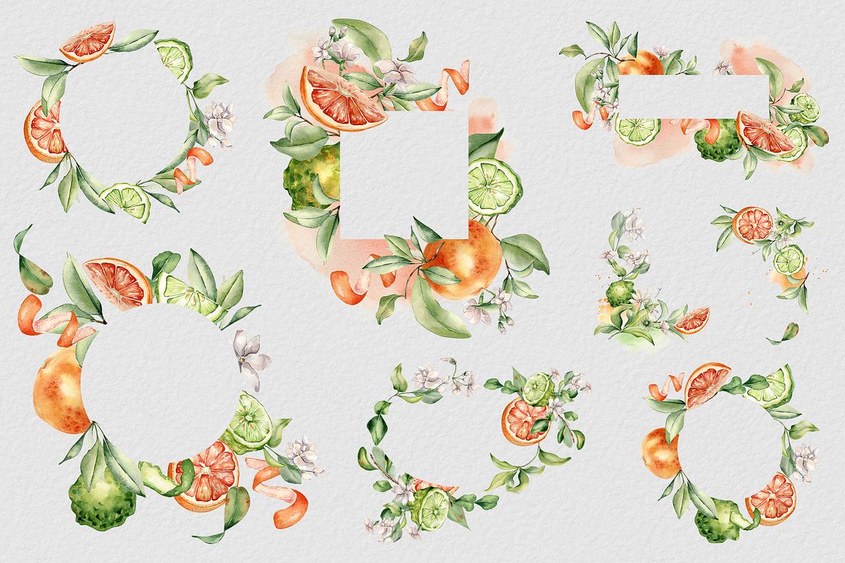Citrus fruits and flower watercolor, a Decorative Illustration by Kate Lanbina (Photo 8 of 20)