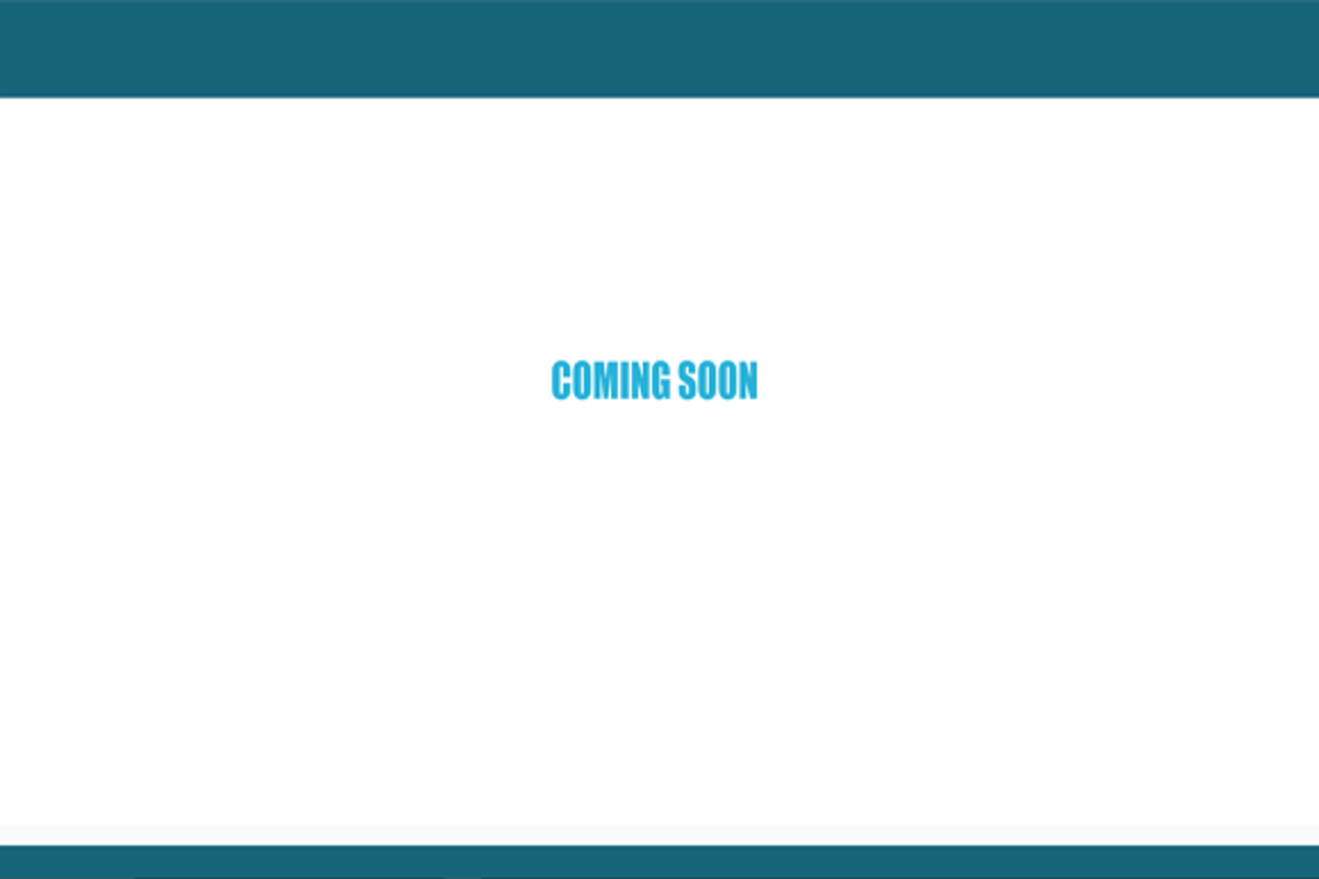 Coming Soon Page Word Press, a WordPress Template by Web Pro Media Inc (Photo 5 of 5)