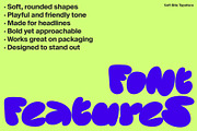 Soft Bite Display Font for Branding, a Handwritten Font by TypeTreat (Thumbnail 6 of 9)