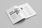 InDesign Portfolio Template, a Brochure Template by Meenom Templates (Thumbnail 4 of 13)
