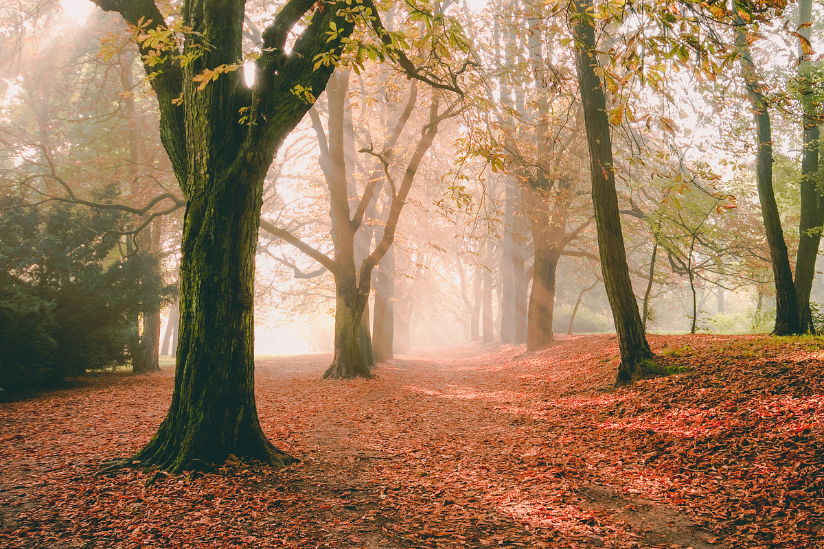 10 Stunning Matte Landscape Presets, a Preset Add-On by Timeless Presets (Photo 7 of 13)