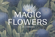 Illustration Bundle - 6580+ elements, a Texture Illustration by Nomad Visuals (Thumbnail 6 of 32)