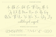 The Fantastic signature, a Script Font by Sulthan Studio (Thumbnail 12 of 12)