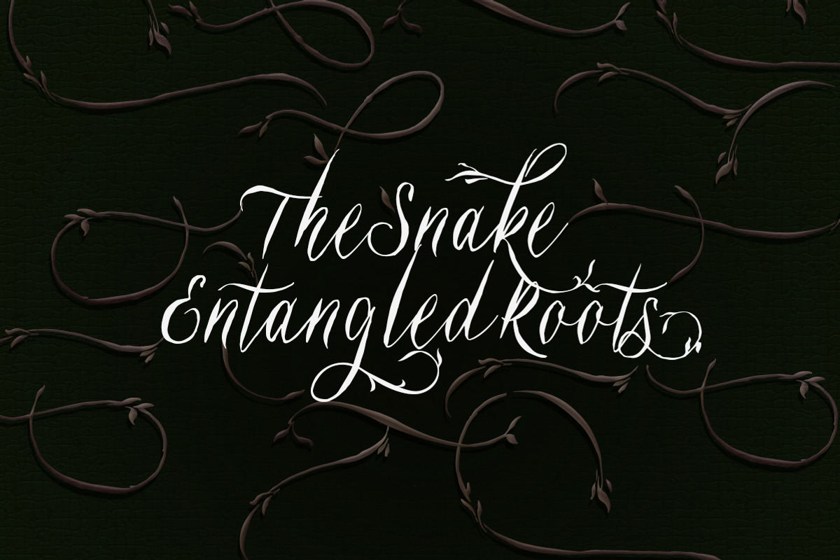 Belukar - Unique Display Script, a Script Font by Letterhend Studio (Photo 7 of 9)
