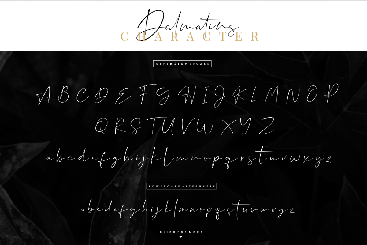 Dalmatins // Elegant Signature Font, a Script Font by Sronstudio (Photo 13 of 14)