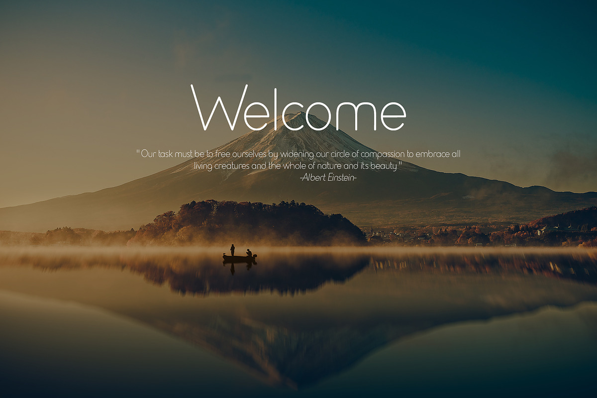 NN2020 Modern, rounded, simple font