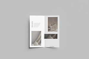 DL Brochure Bi-fold Mockup