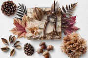 Autumn Botanicals PNG Objects, an Object Graphic by Iconogenic (Thumbnail 5 of 5)