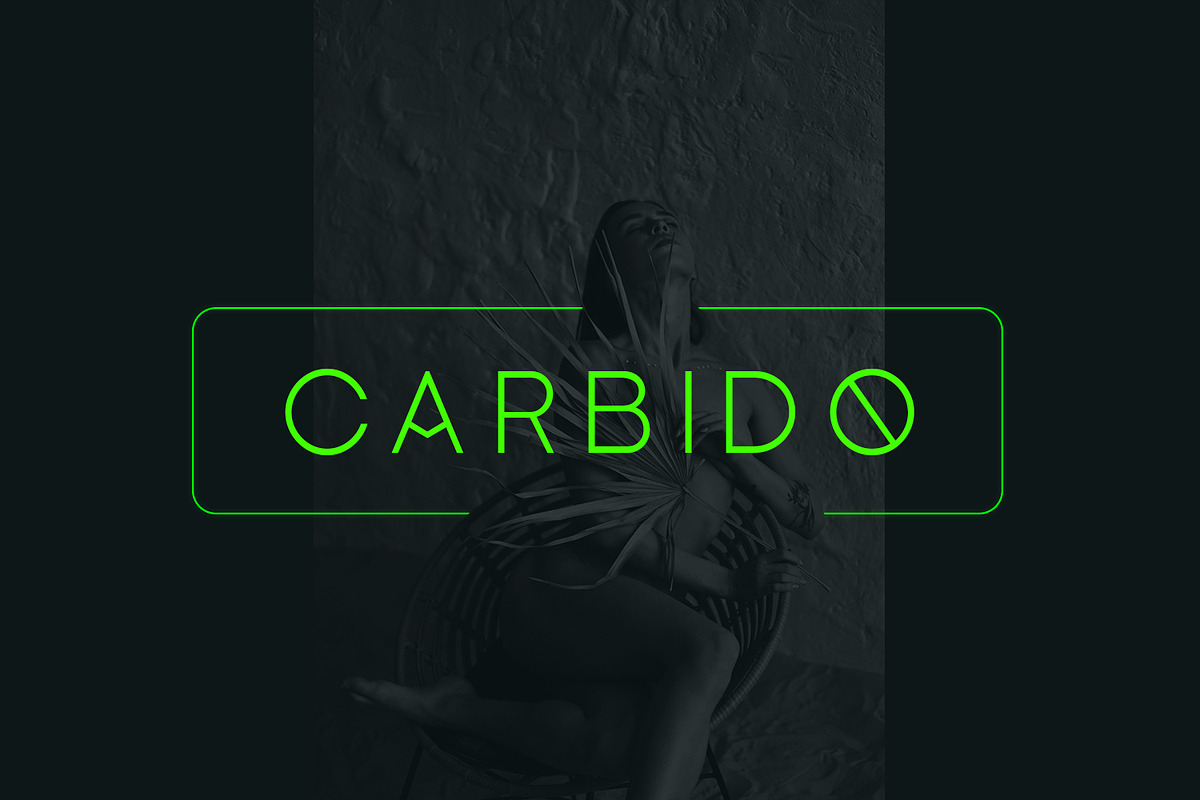 Carbido Typeface Overview, a Sans Serif Font by Design Stag (Photo 1 of 8)