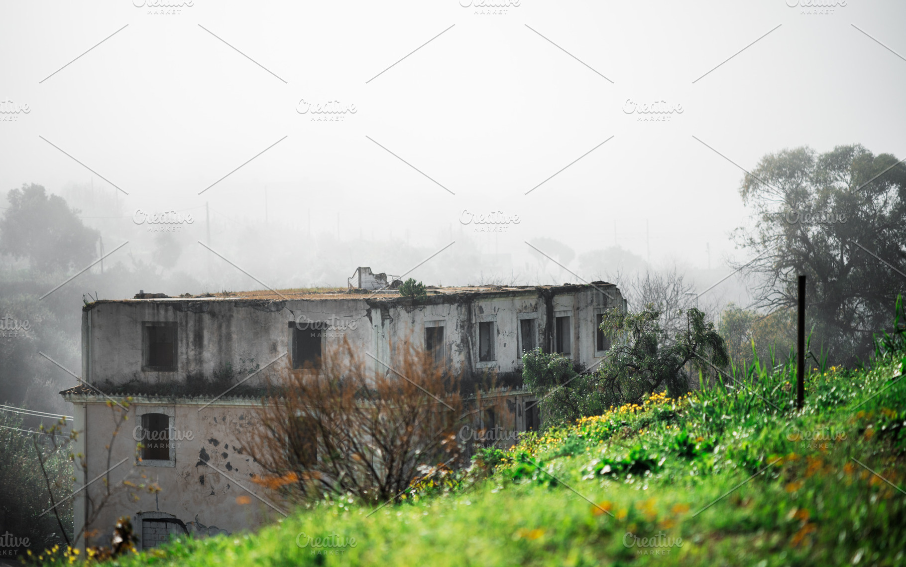Abandoned building, misty landscape, an Architecture Photo by SkyNext