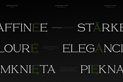 GC Volumn - Elegant Serif Typeface, a Serif Font by Glyphonic (Thumbnail 6 of 15)