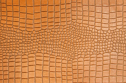 Crocodile skin texture for background or design, an Abstract Photo by Casanowe-studio