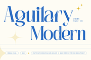 Aguilary Modern - Elegant Logo Font, a Serif Font by Nirmana Visual (Thumbnail 1 of 16)