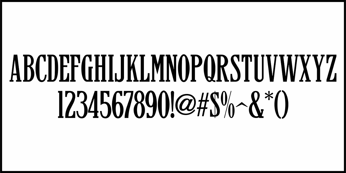 Newspaper Publisher JNL, a Serif Font by Jeff Levine Fonts (Photo 3 of 5)