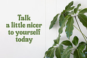 Holiday Feast Display Font, a Slab Serif Font by Letterhend Studio (Thumbnail 2 of 10)