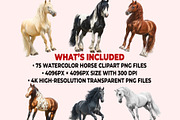 Horse Clipart PNG Bundle, a Graphic by M9 Design (Thumbnail 11 of 11)