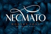 Necmato Art Deco Feel, a Serif Font by typeline studio (Thumbnail 1 of 11)