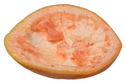 Empty half of grapefruit peel, with pulp remaining, isolated on