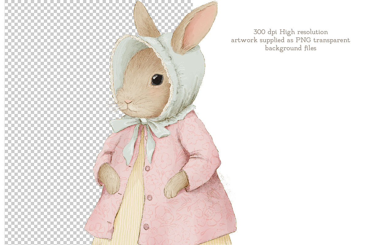 Vintage Watercolor Bunny Clipart Set, an Illustration by AlenaVlasko stock Market (Photo 2 of 5)