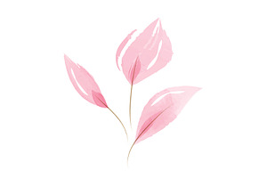 Soft pink watercolor leaves on a, an Illustration by okskukuruza