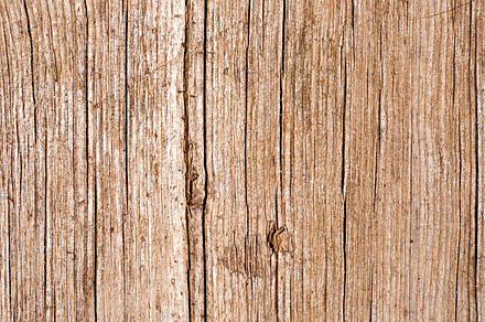 Light Oak Texture preview 6