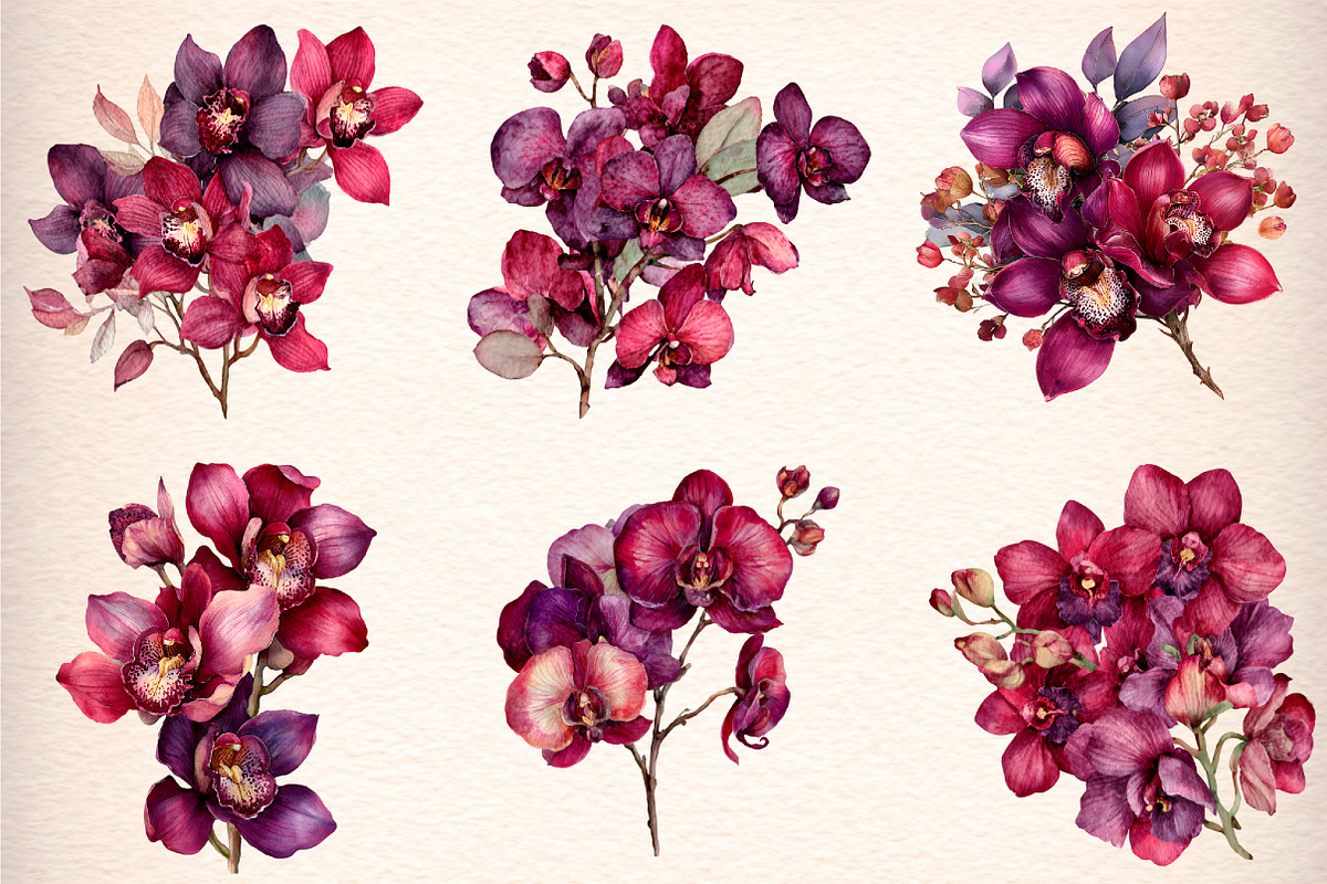 Watercolor Burgundy Orchids Clipart, an Illustration by Digital Artistic99 (Photo 4 of 9)
