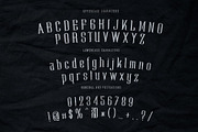 Fernolester - Retro Font, a Serif Font by Maculinc Type (Thumbnail 12 of 12)