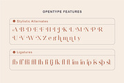 Destine | Modern Display Serif, a Serif Font by Ef Studio (Thumbnail 11 of 12)