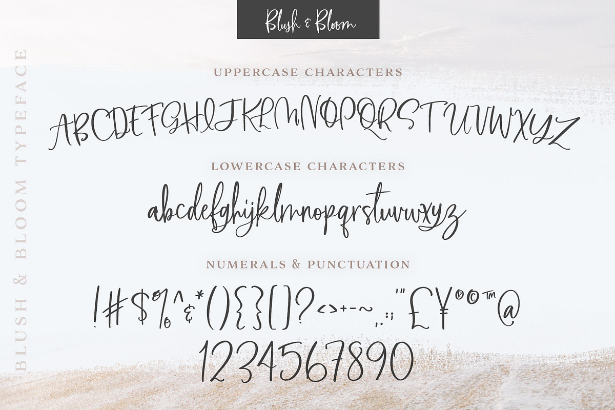 Blush & Bloom Signature Type, a Script Font by Callie Rian & Co. (Photo 11 of 19)
