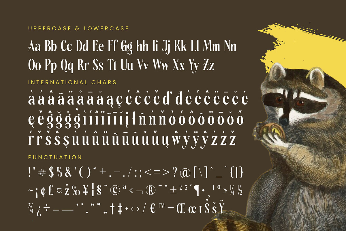 Rachon Bold Tall Display Serif, a Serif Font by timelesstype.co (Photo 19 of 20)