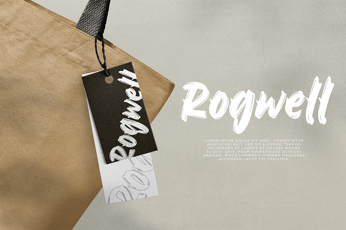 Brave Factor, a Script Font by Ditatype (Photo 6 of 10)
