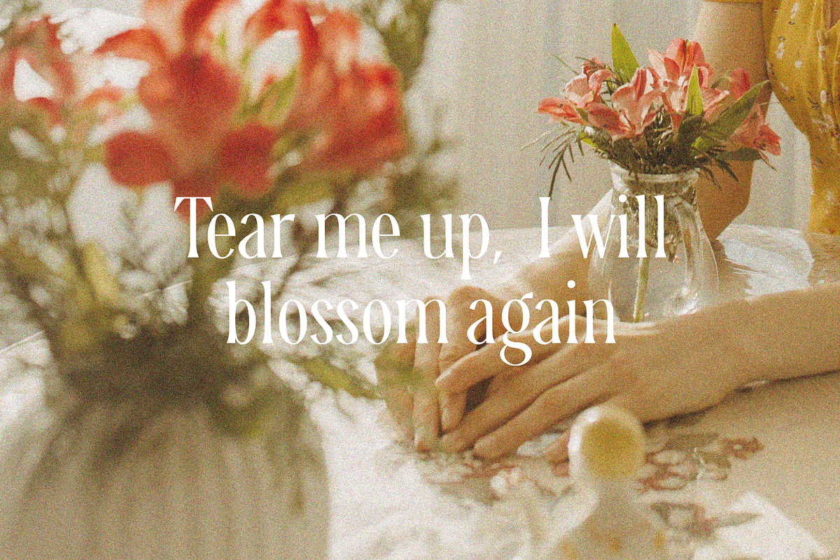 Ophelia - Modern Serif Font, a Serif Font by The Peach Shop (Photo 10 of 16)