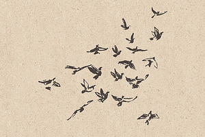 Flocks Of Birds, Sketch Style