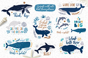 Cute Whales. Characters & patterns, an Animal Illustration by MagicForestory (Thumbnail 6 of 12)