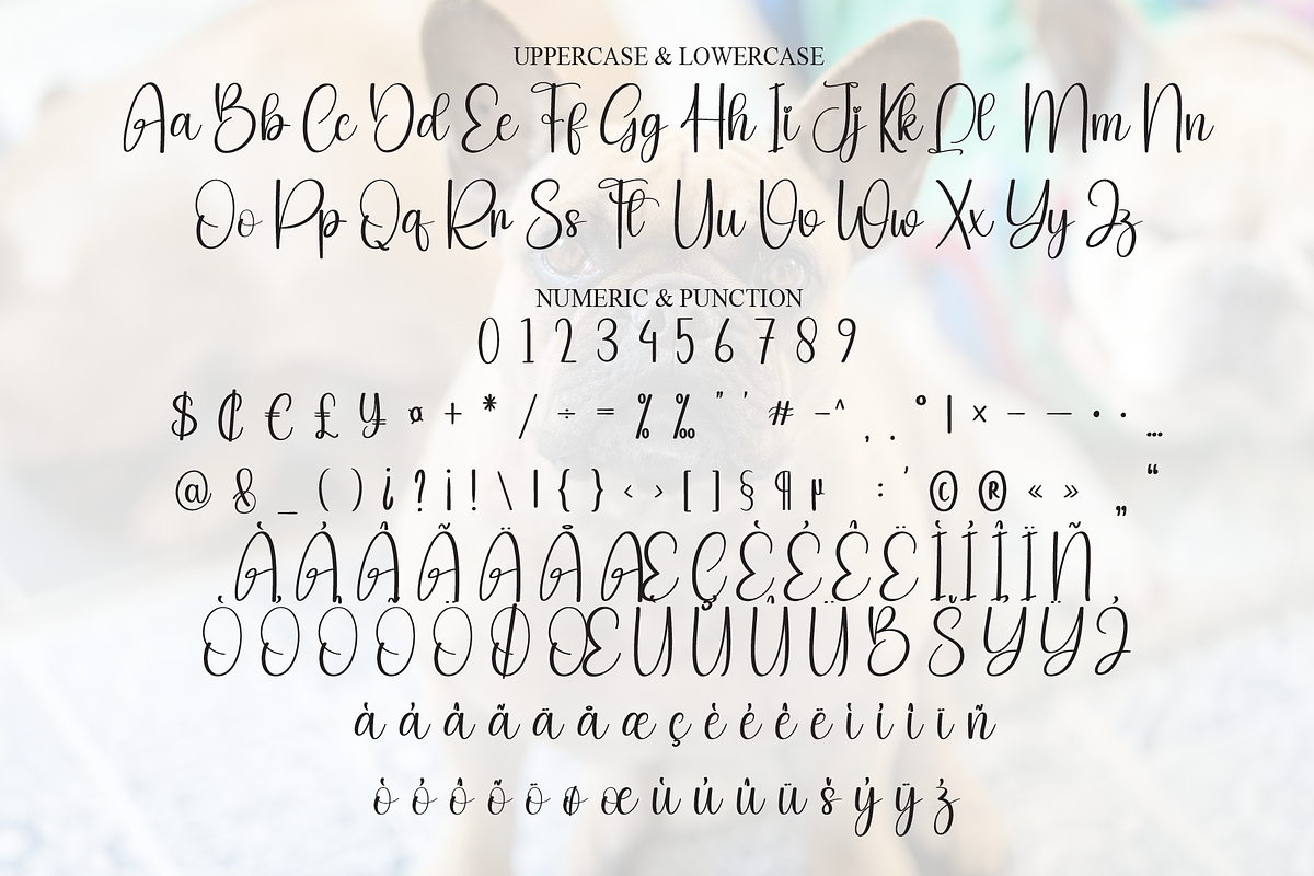 Bulldogs | Script Font, a Handwritten Font by Scratchones (Photo 7 of 9)
