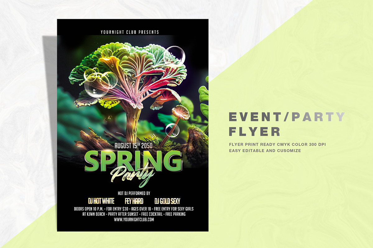 A4 Spring Party Flyer, a Flyer Template by feydesign