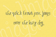 Winjaga - Elegant Latin Font, a Script Font by Naistudio (Thumbnail 6 of 7)