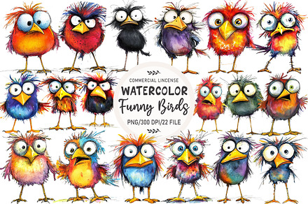 Cute Quirky Funny Birds Clipart, an Illustration by OK Design