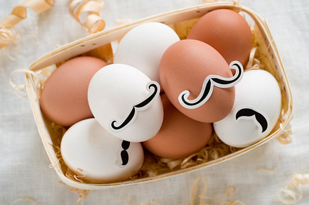 Hispter Eggs Stock Picture preview 4
