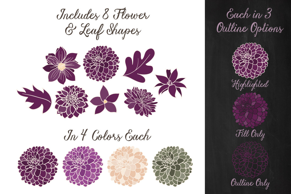 Plum Purple Dahlia Flowers, an Illustration by Amanda Ilkov (Photo 3 of 4)