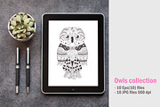 Owls. Coloring pages, a Background Graphic by Anna Violet (Thumbnail 2 of 5)