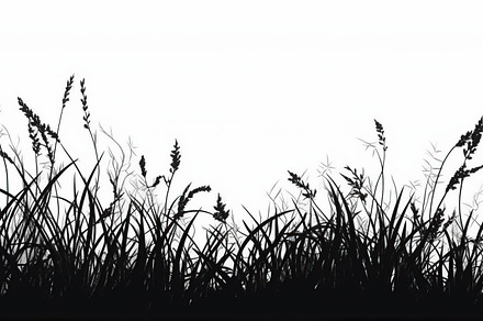 Illustration of black grass on white background. Generative AI, a Nature Photo by AlyaAnd