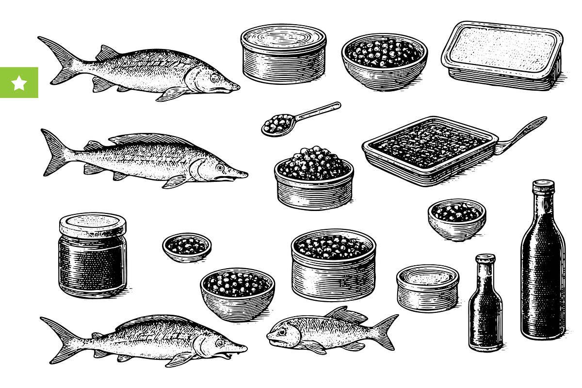 Caviar & Sturgeon Set, an Object Graphic by RT Studio
